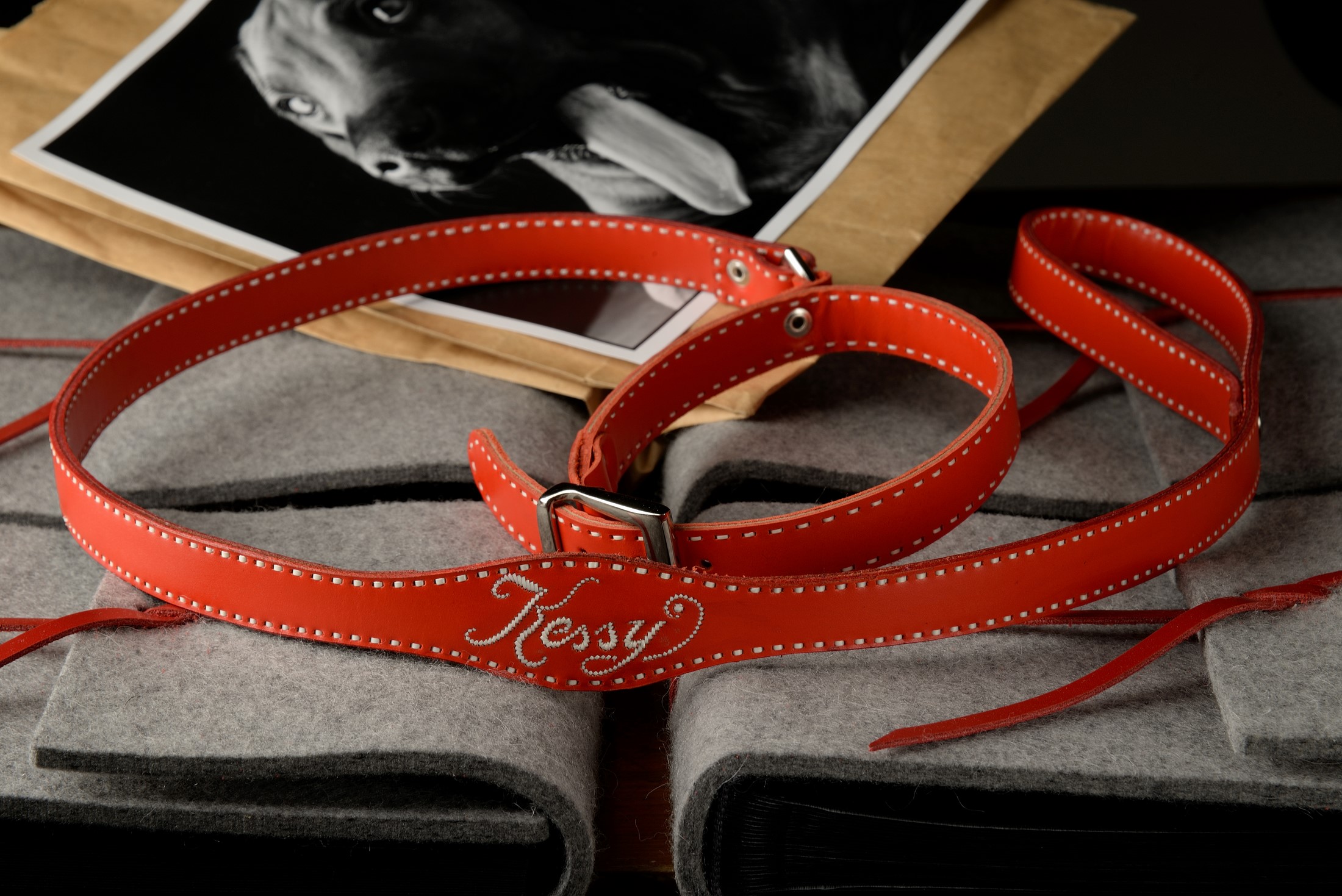 Hundehalsbänder & Leinen